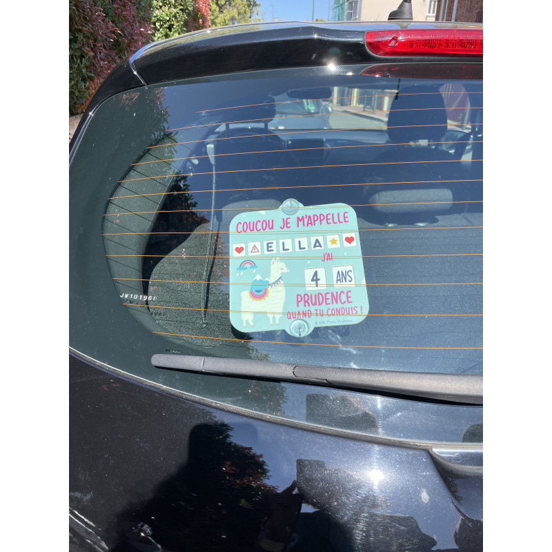 stickers signalétiques voitures bébés à bord et animaux à bords
